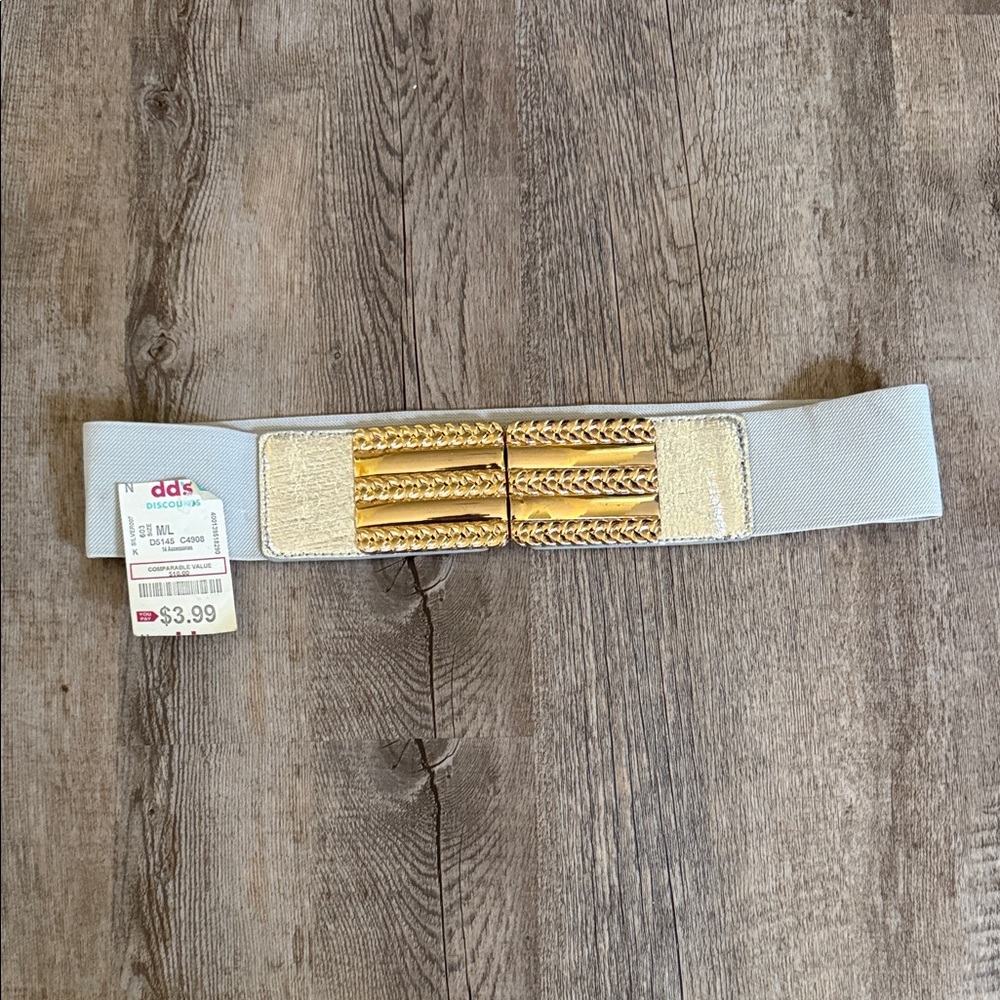 Silver Stretch Belt with Gold accent closure